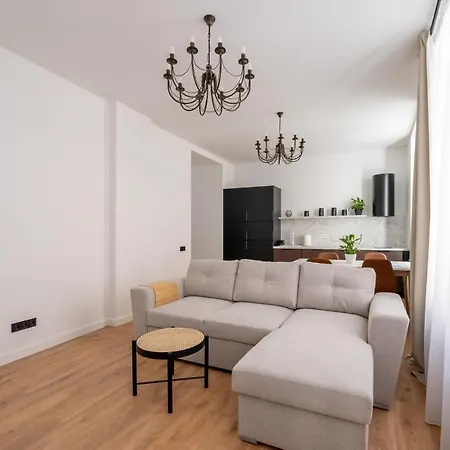 Spacious 1-bedroom In The Heart Of Old Town Apartamento